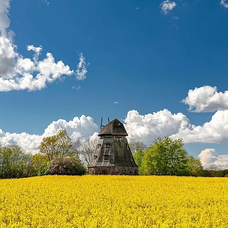 Ferienhaus Merlin Daire Röbel